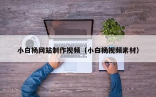 北京小白杨网站制作视频（小白杨视频素材）